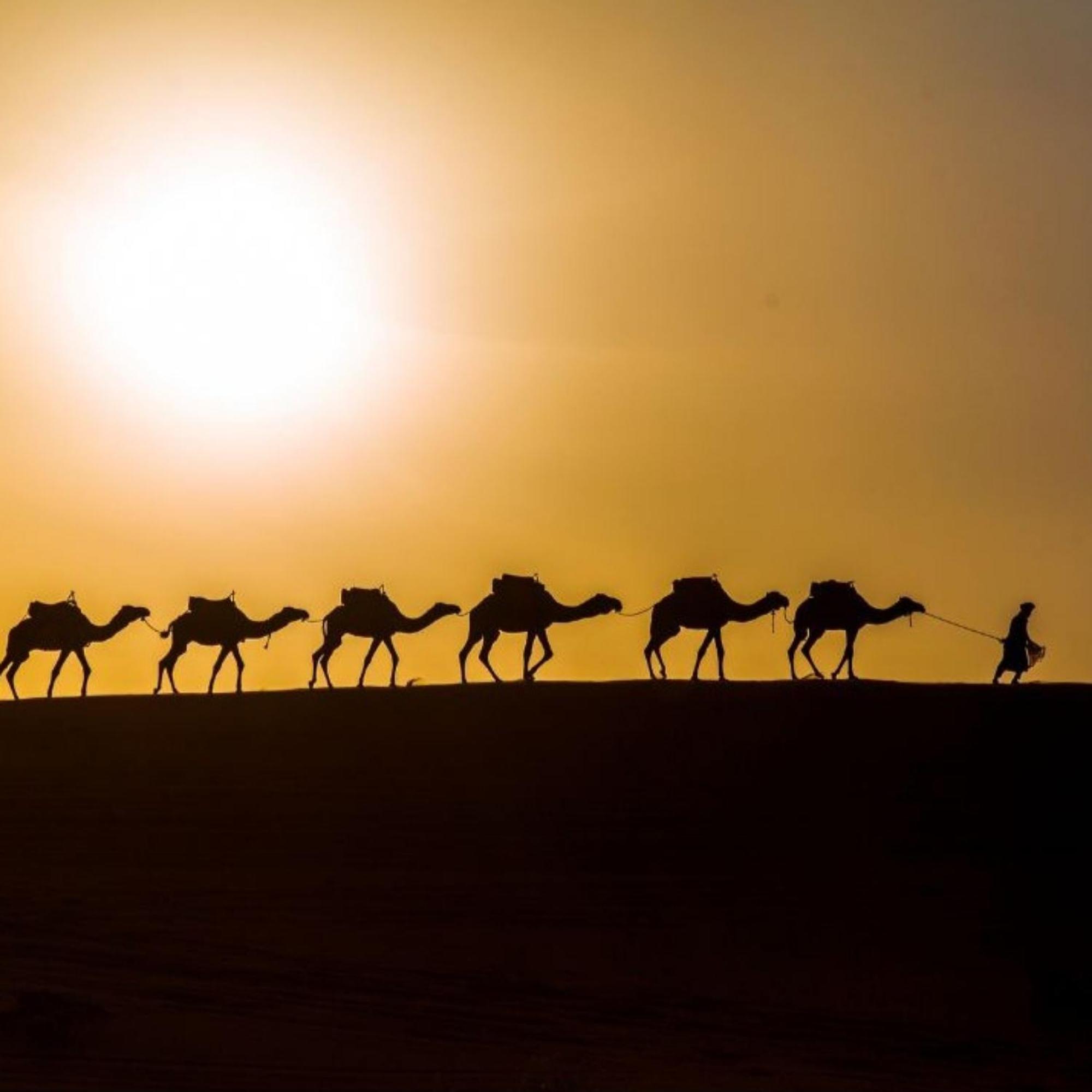 Erg Chebbi Romantic Desert Camp メルズーガ エクステリア 写真