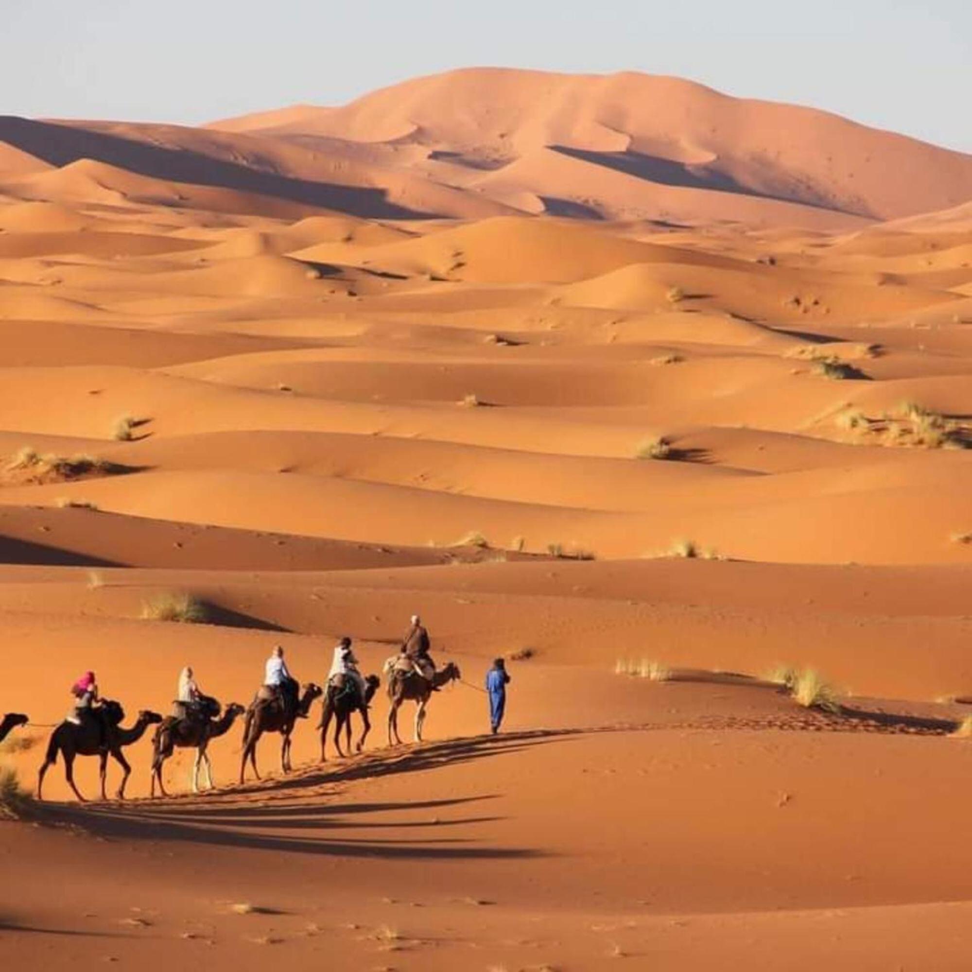 Erg Chebbi Romantic Desert Camp メルズーガ エクステリア 写真